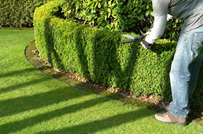 All Scapes Lawn Care, Landscape Irrigation, Snow removal